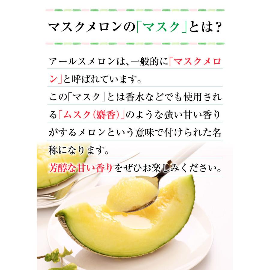 父の日 プレゼント 父の日ギフト メロン アールスメロン 秀品 ２L/２玉 熊本県産 温室 送料無料 高級メロン 産直 フルーツ 果物 甘い S常｜kuishinboucom｜11