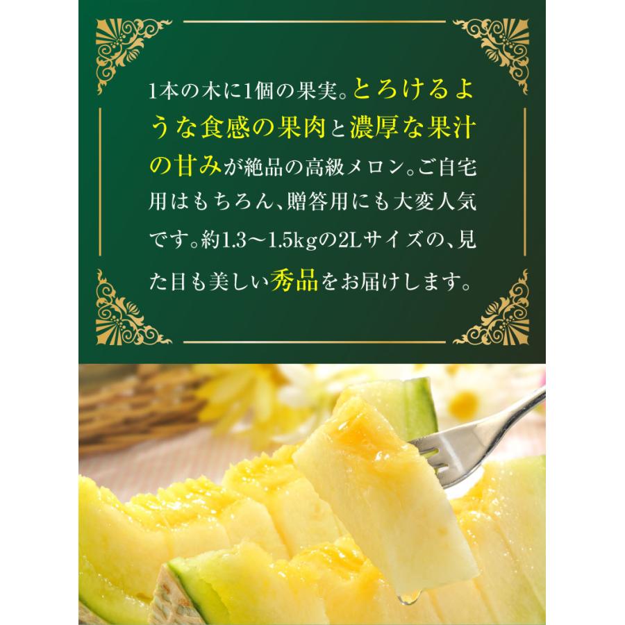 父の日 プレゼント 父の日ギフト メロン アールスメロン 秀品 ２L/２玉 熊本県産 温室 送料無料 高級メロン 産直 フルーツ 果物 甘い S常｜kuishinboucom｜03