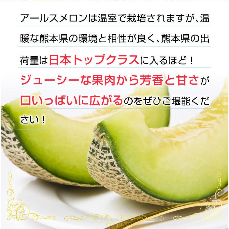 父の日 プレゼント 父の日ギフト メロン アールスメロン 秀品 ２L/２玉 熊本県産 温室 送料無料 高級メロン 産直 フルーツ 果物 甘い S常｜kuishinboucom｜05