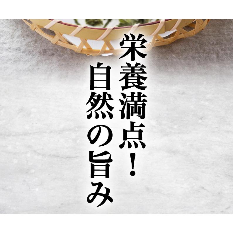 海苔 送料無料 有明海産 バラ干し海苔 2袋セット 10g入 x2袋 のり 訳あり メール便｜kuishinboucom｜03