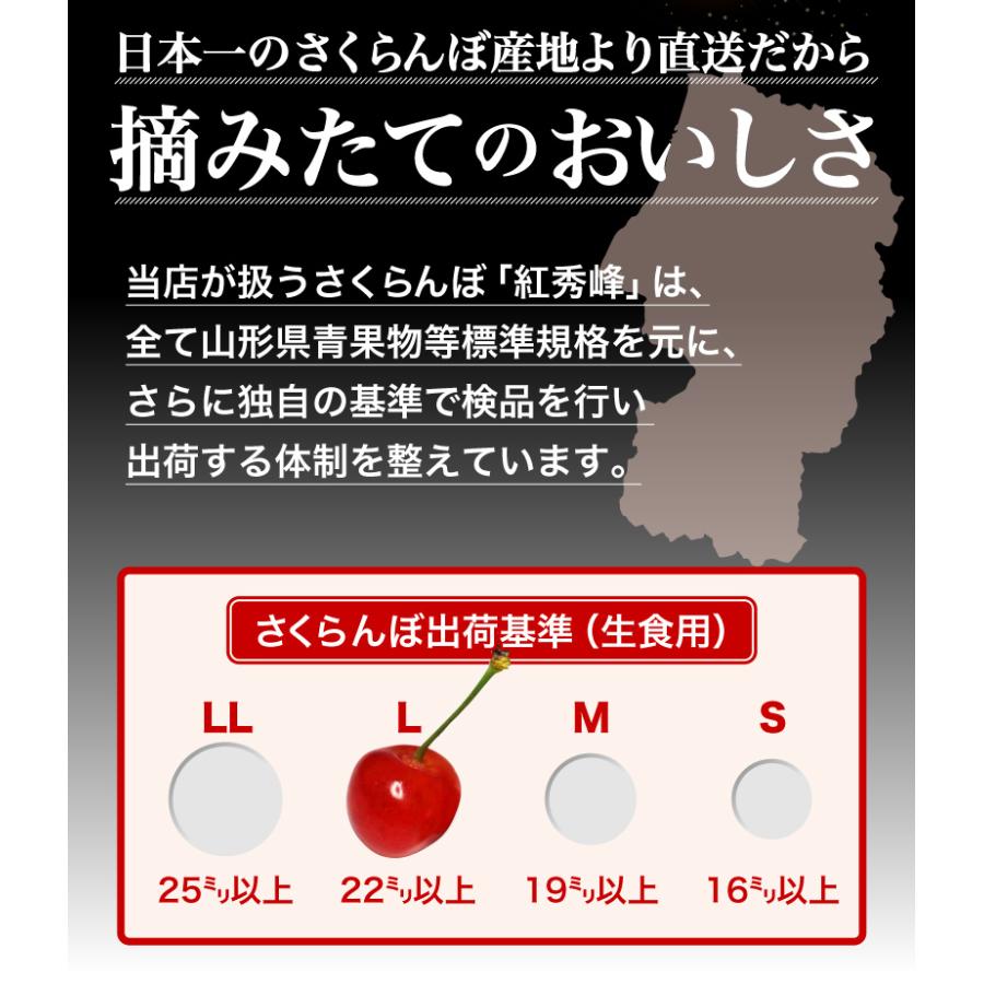 早期予約 さくらんぼ 紅秀峰（べにしゅうほう） 山形県産 ご家庭用 Lサイズ以上 1kg バラ詰め 果物 フルーツ お取り寄せ 産地直送 送料無料 Y蔵｜kuishinboucom｜11