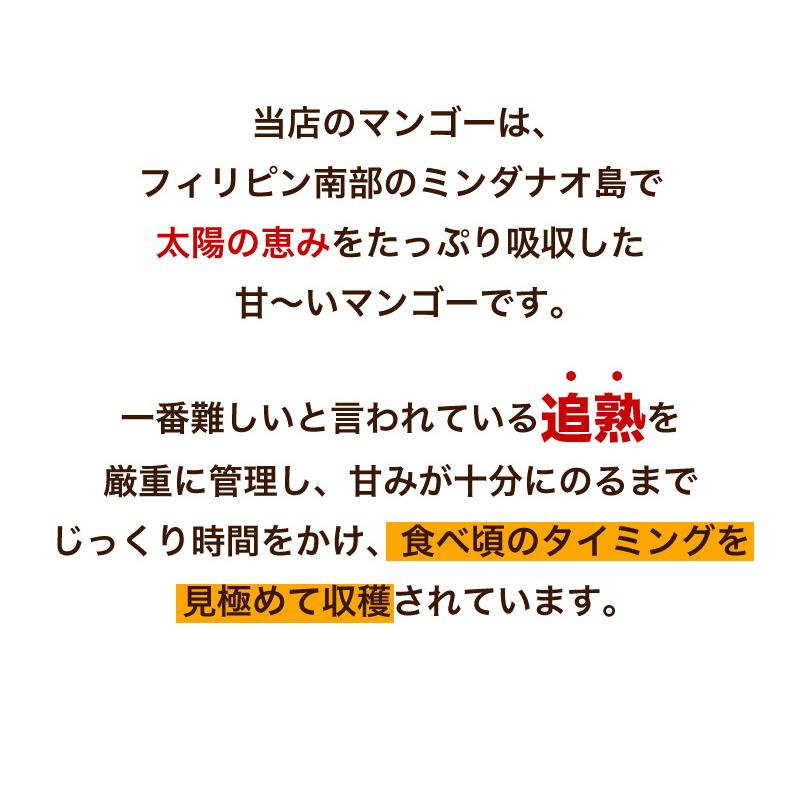 マンゴー 冷凍 甘熟マンゴー カットタイプ 1kg 追熟 極甘フローズン カラバオマンゴー 高級 濃厚な味わい クール便 送料無料｜kuishinboucom｜05