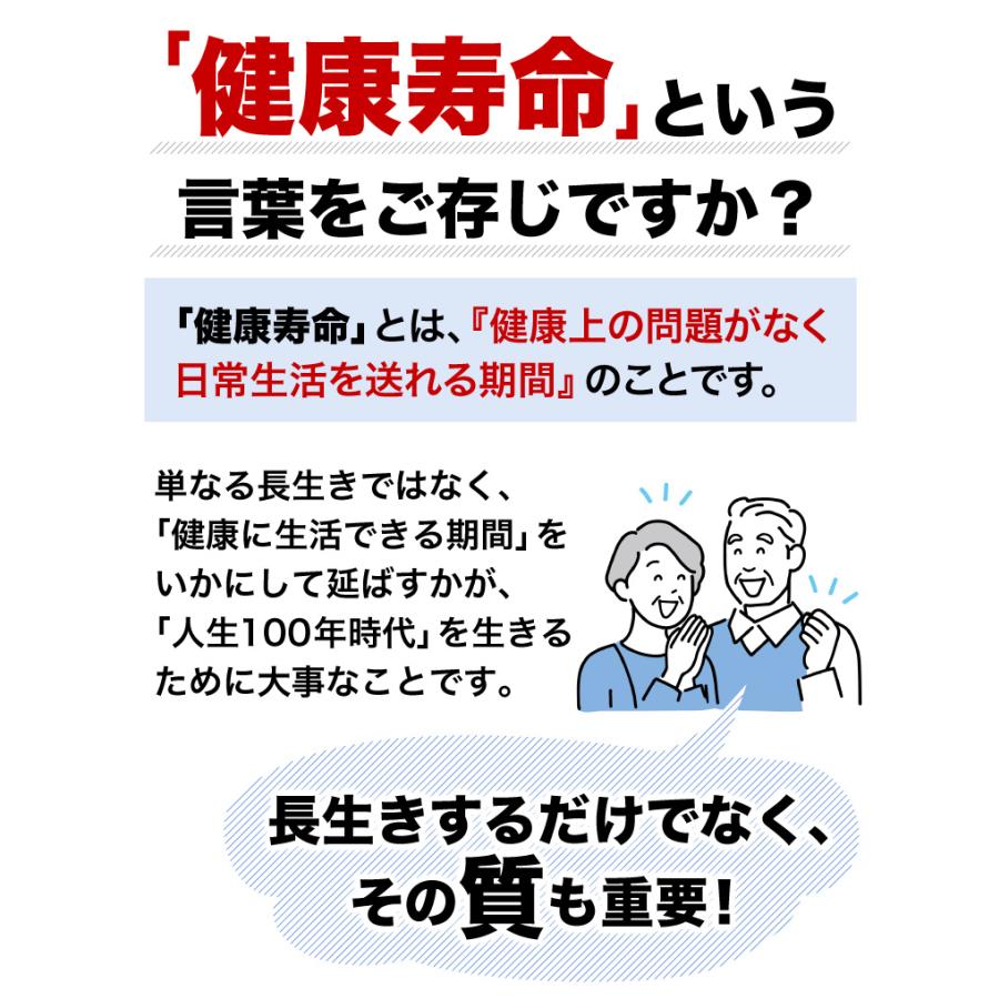 最大95%オフ! 初回限定 1家族1回 53%OFF 醗酵黒生姜 GENKI黒にんにく 国産 メール便 梅エキス フラクトオリゴ糖 野菜酵素 健康 シールド乳酸菌 腸活 1箱(5gx30包) ガシュツ末 香味野菜 1家族1回限り 3箱まで GENKI黒にんにく 1箱(5gx30包) 発酵黒生姜 ガシュツ末 梅エキス 野菜酵素 フラクトオリゴ糖 シールド乳酸菌 黒ニンニク サプリ サプリメント 健康 腸活 国産素材 メール便送料無料