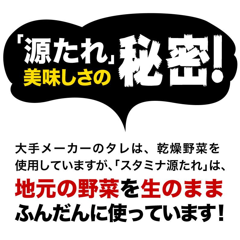 青森県内シェアNo.1 スタミナ源たれ プレミアム 10本セット 肉 炒め物 ジューシー 熟成 焼肉のタレ 送料無料 産地直送 S常｜kuishinboucom｜09