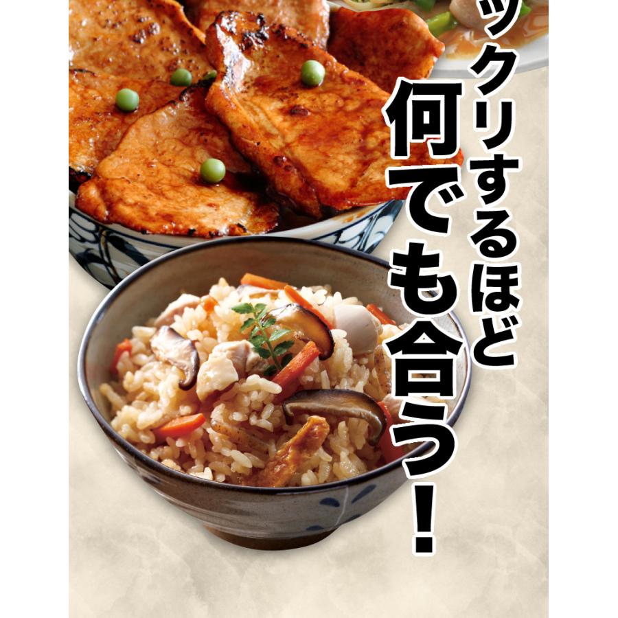 源たれ 青森県内シェアNo.1 スタミナ源 塩焼のたれ 10本セット 肉 炒めも物 ジューシー 熟成 焼肉のタレ 送料無料 産地直送 S常｜kuishinboucom｜06