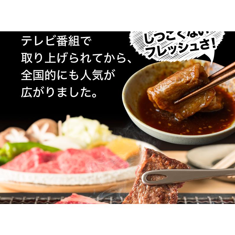 源たれ 青森県内シェアNo.1 スタミナ源 塩焼のたれ 10本セット 肉 炒めも物 ジューシー 熟成 焼肉のタレ 送料無料 産地直送 S常｜kuishinboucom｜09