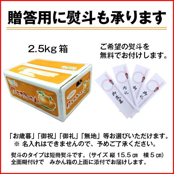 ポイント5倍 みかん 伊木力 長崎 早生 温州ミカン 秀品 小玉 S ポイント5倍 みかん 伊木力 長崎 早生 温州ミカン 秀品 小玉 S