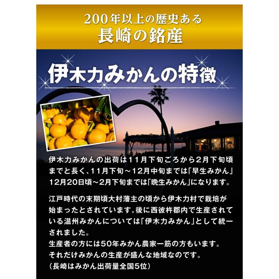 ポイント5倍 みかん 伊木力 長崎 早生 温州ミカン 秀品 小玉 S ポイント5倍 みかん 伊木力 長崎 早生 温州ミカン 秀品 小玉 S