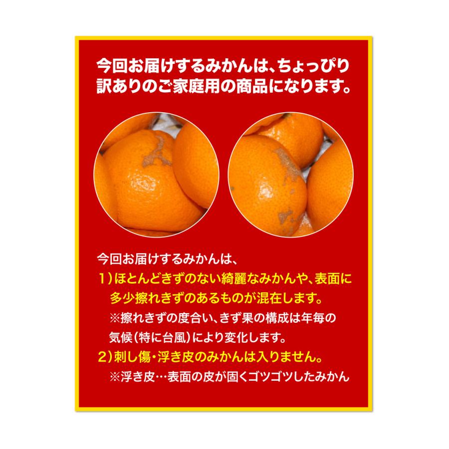 長崎 みかん 西海小玉みかん 10kg 3S〜Sサイズ混合 早生 糖度11〜13度 ちょっぴり訳あり ご家庭用 送料無料 産地直送 S常｜kuishinboucom｜12