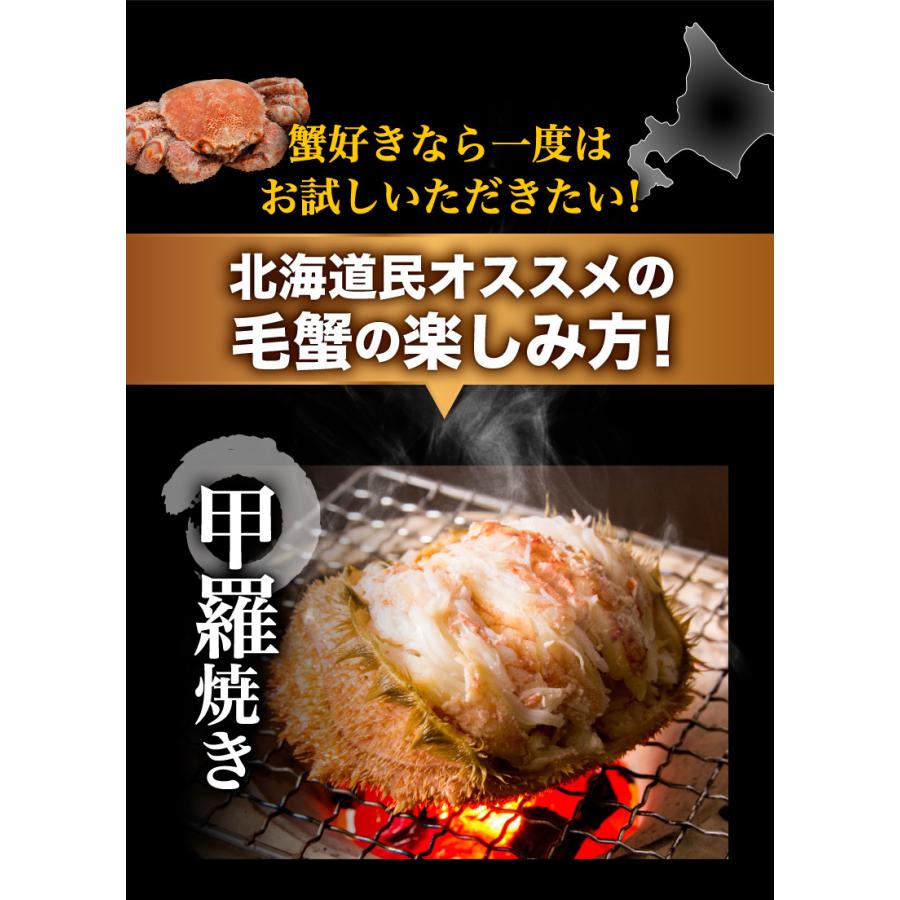 北海道産プレミアム毛蟹 毛ガニ 超特大約1kg（3特・4特）2杯 送料無料 産地直送 Y凍｜kuishinboucom｜14