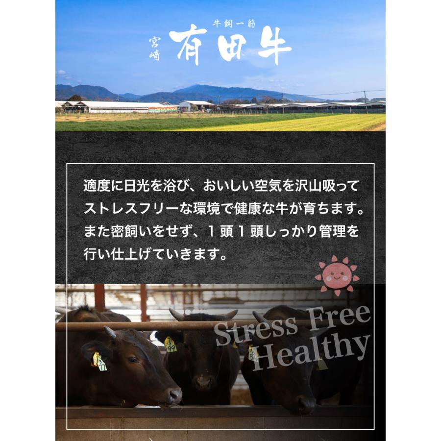 ギフト 肉 和牛 宮崎県産 黒毛和牛 厳選切り落としスライス（バラ・もも）200g 和牛 A5 すき焼き しゃぶしゃぶ 霜降り 送料別 クール｜kuishinboucom｜12