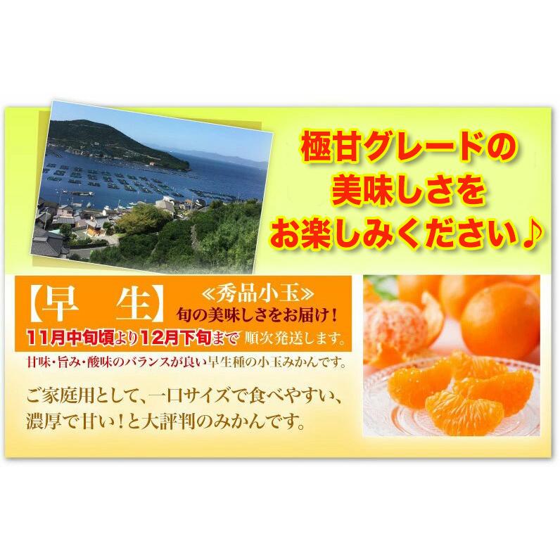 みかん 送料無料 訳あり 5kg 愛媛 家庭用 早生 JAにしうわ 川上共選 天皇杯受賞 川上小玉 小蜜柑 2Sサイズ 果物 フルーツ 産地直送 J常