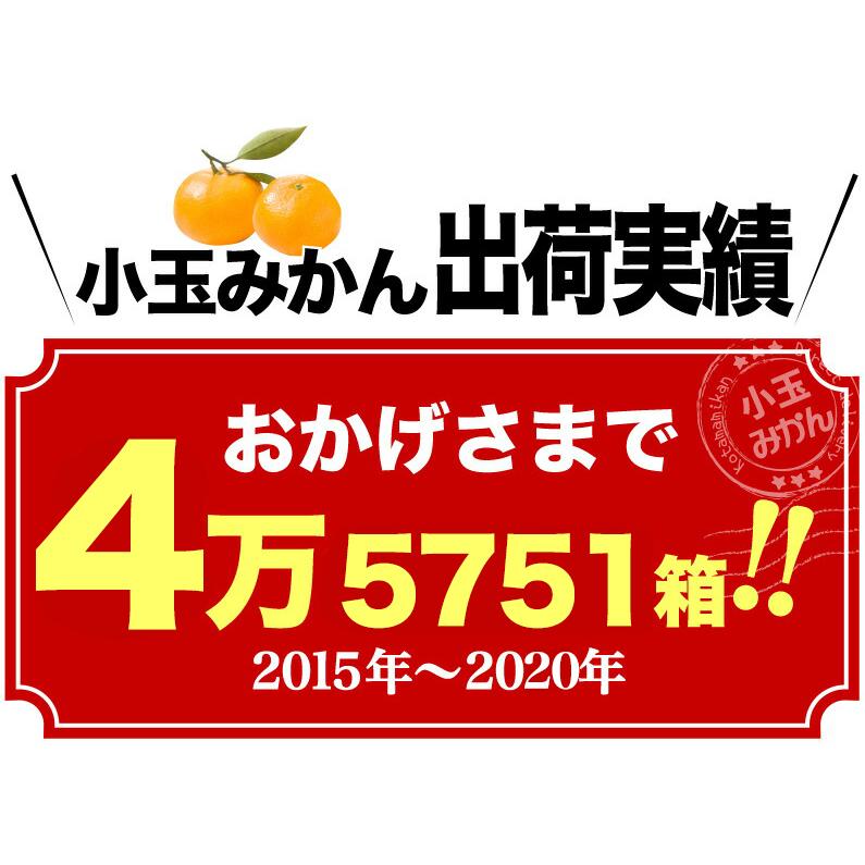 みかん 送料無料 訳あり 5kg 愛媛 家庭用 早生 JAにしうわ 川上共選 天皇杯受賞 川上小玉 小蜜柑 2Sサイズ 果物 フルーツ 産地直送 J常｜kuishinboucom｜07