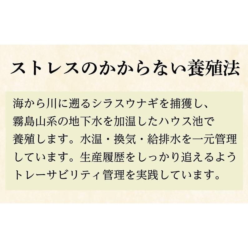 ポイント5倍 母の日 遅れてごめんね プレゼント ギフト うなぎ 国産 鹿児島産 ブランド鰻 特大・カット・きざみ蒲焼き 3種蒲焼セット 魚介 送料無料 クール｜kuishinboucom｜14