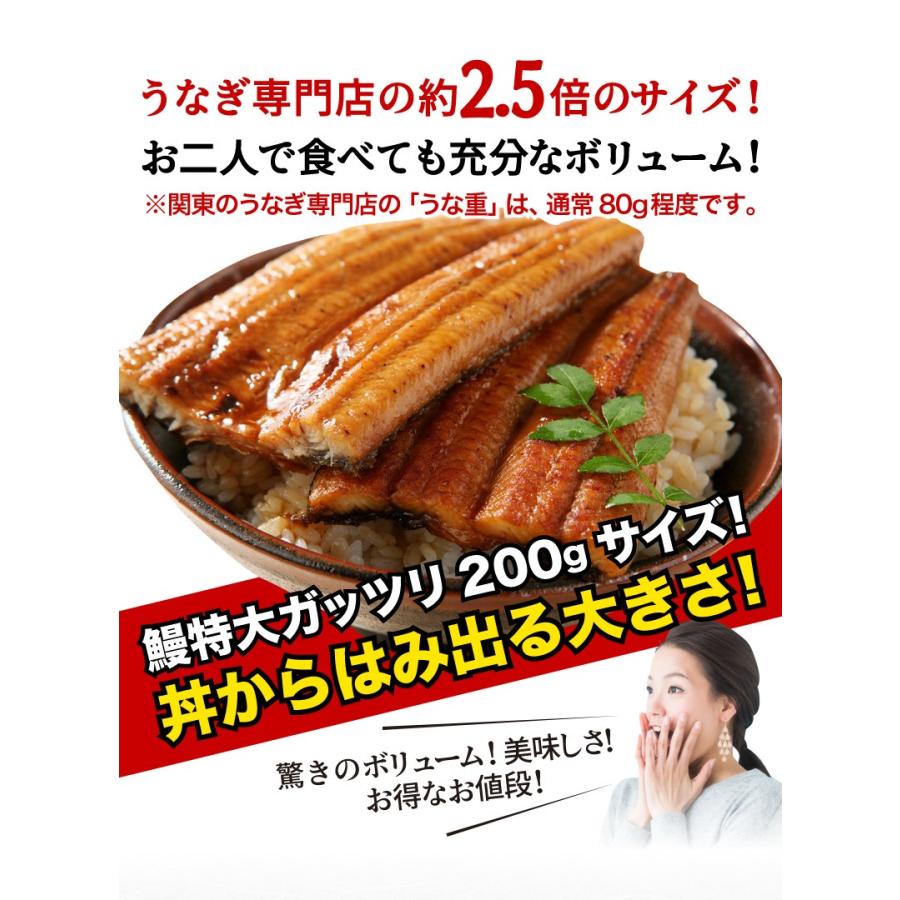 ご贈答 うなぎ 蒲焼き 国内産 特大蒲焼き 185g以上 鹿児島産 海鮮 ギフト プレゼント クール 送料別 Kuk102 くいしんぼうドットコム 通販 Yahoo ショッピング