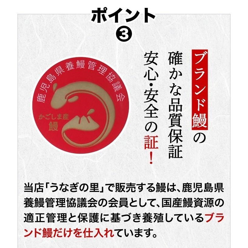 うなぎ 蒲焼き 国内産 送料無料 きざみ 2食(山葵×2　きざみ海苔×2) 鹿児島産 海鮮 クール #元気いただきますプロジェクト（水産物）｜kuishinboucom｜09