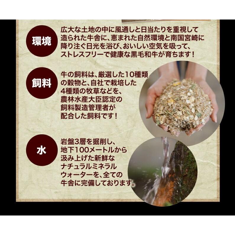 ギフト もつ鍋 和牛小腸 博多もつ鍋セット 3人前 ちゃんぽん麺付き 小腸 コプチャン ホルモン 柚子胡椒 送料無料 グルメ クール Kwm03 くいしんぼうドットコム 通販 Yahoo ショッピング