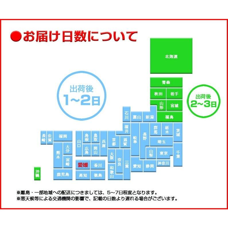 レモン 国産 愛媛 瀬戸内レモンご家庭用 ５kg(42玉前後) 産地直送 ノーワックス・減農薬 J常｜kuishinboucom｜15