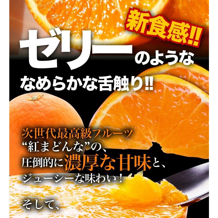 御歳暮 予約商品 ギフト 紅まどんな 2L玉×3kg 贈答 愛媛県 紅 御歳暮 予約商品 ギフト 紅まどんな 2L玉×3kg 贈答 愛媛県 紅