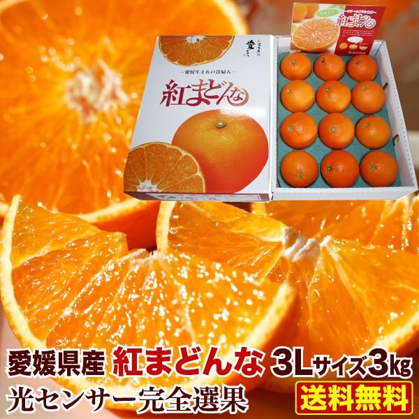 予約商品 お歳暮 ギフト 紅まどんな 贈答 3L玉×3kg 愛媛県 紅マドンナ