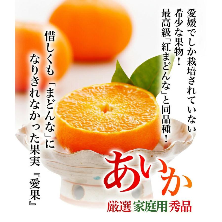 早期予約 11月末 みかん 愛媛県産 愛果 あいか ご家庭用 5kg 4L 早期予約 11月末 みかん 愛媛県産 愛果 あいか ご家庭用 5kg 4L