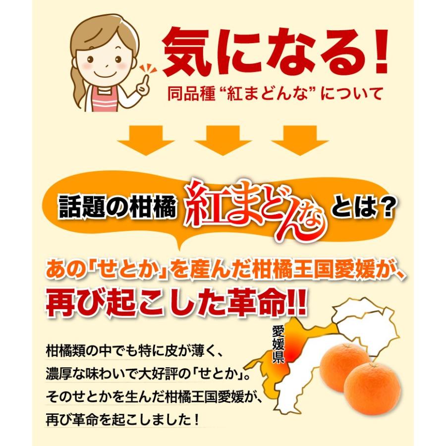 早期予約 みかん 愛媛県産 愛果 あいか ご家庭用 5kg 4L〜2Lサイズ 混合 20〜25玉 送料無料 J常｜kuishinboucom｜05