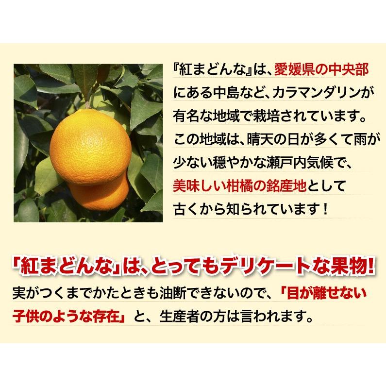 早期予約 みかん 愛媛県産 愛果 あいか ご家庭用 5kg 4L〜2Lサイズ 混合 20〜25玉 送料無料 J常｜kuishinboucom｜06