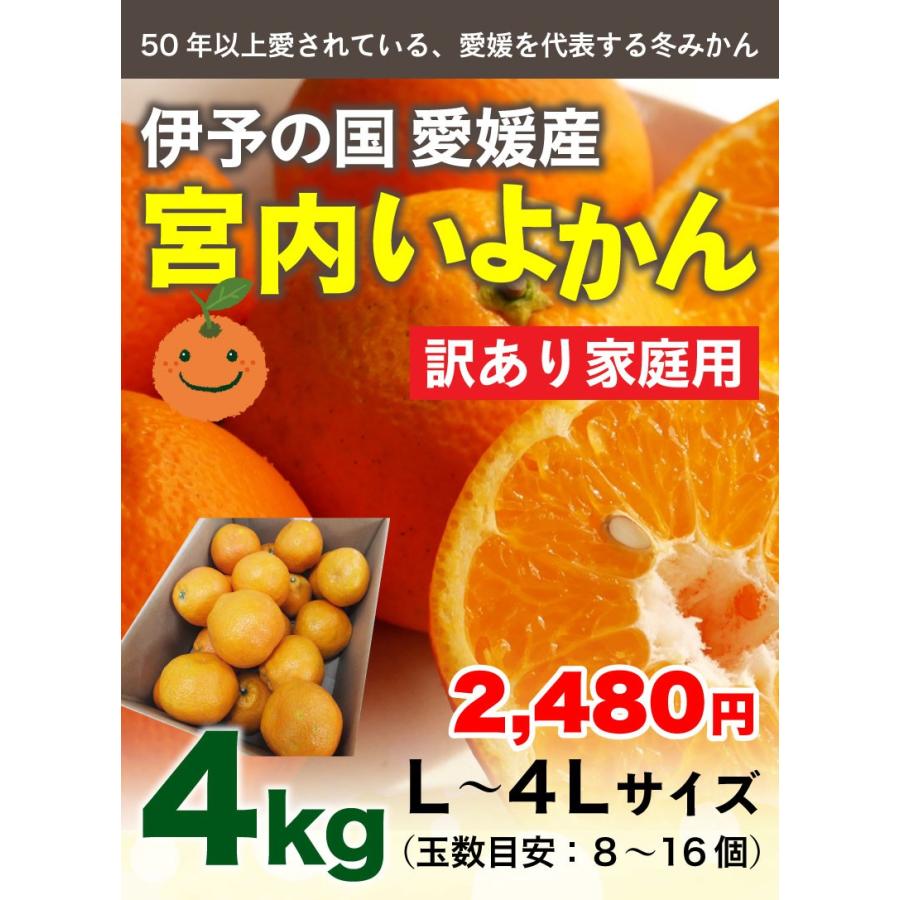 宮内いよかん ご自宅用 愛媛県産 伊予柑 訳あり ご家庭用 4kg L 4lサイズ 混合 送料無料 J常 Miyo04 くいしんぼうドットコム 通販 Yahoo ショッピング
