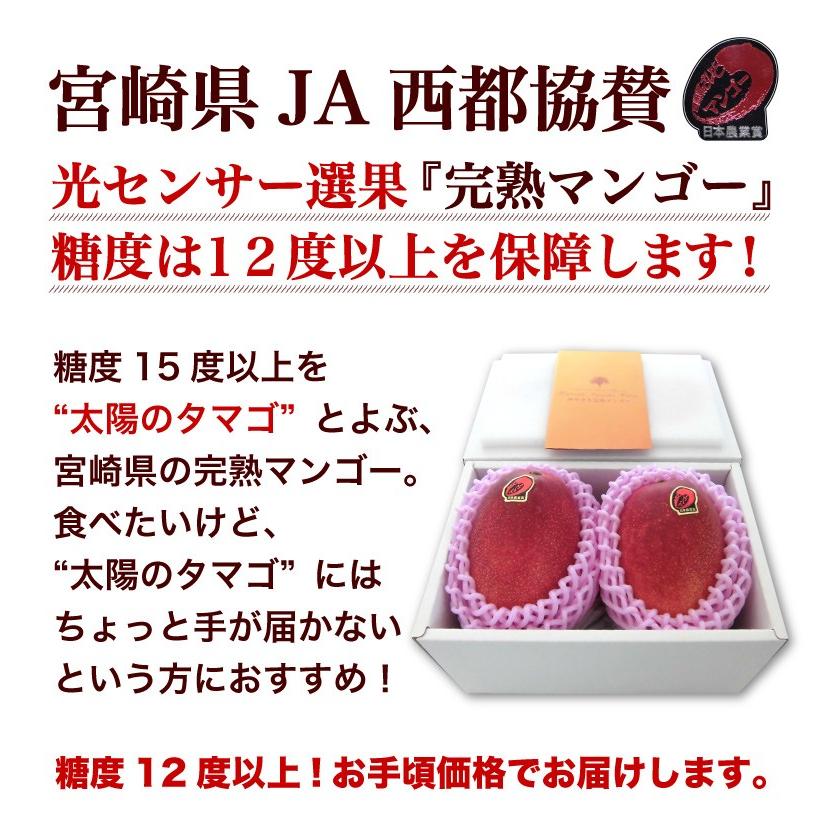 ポイント5倍 お中元 ギフト 果物 フルーツ マンゴー 宮崎 完熟マンゴー特大2L玉(350g以上) JA西都協賛 光センサー選果 プレゼント Y蔵 :mng201f:くいしんぼうドットコム - 通販 - Yahoo!ショッピング ポイント5倍 お中元 ギフト 果物 フルーツ マンゴー 宮崎 完熟マンゴー特大2L玉(350g以上) JA西都協賛 光センサー選果 プレゼント Y蔵 :mng201f:くいしんぼうドットコム - 通販 - Yahoo!ショッピング