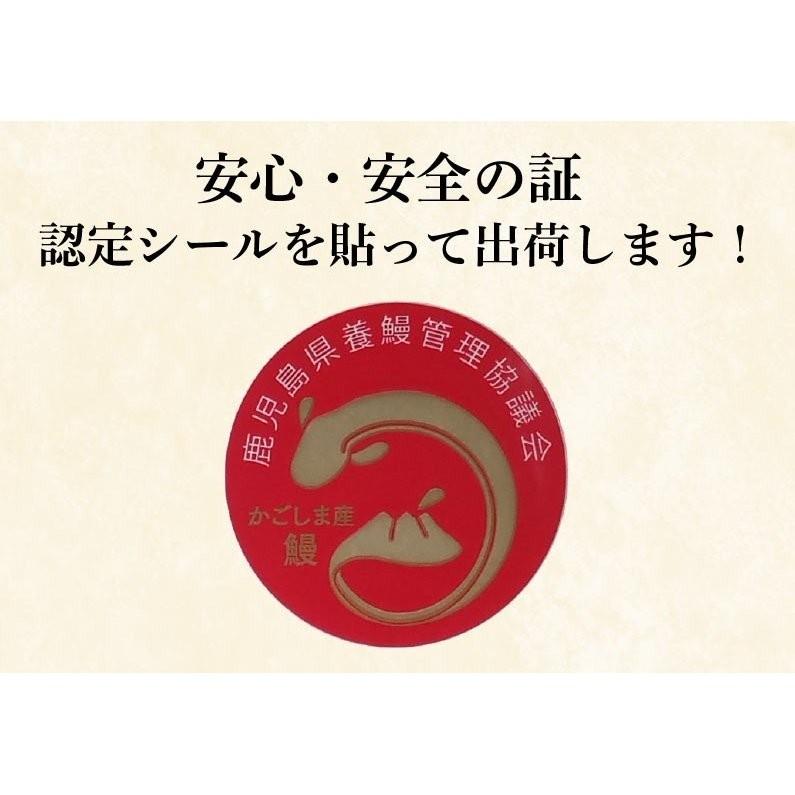 ポイント5倍  ギフト グルメ うなぎ 鹿児島産ブランド鰻 うなぎの里 極上特大蒲焼き5本 ギフトBOXセット クール｜kuishinboucom｜05