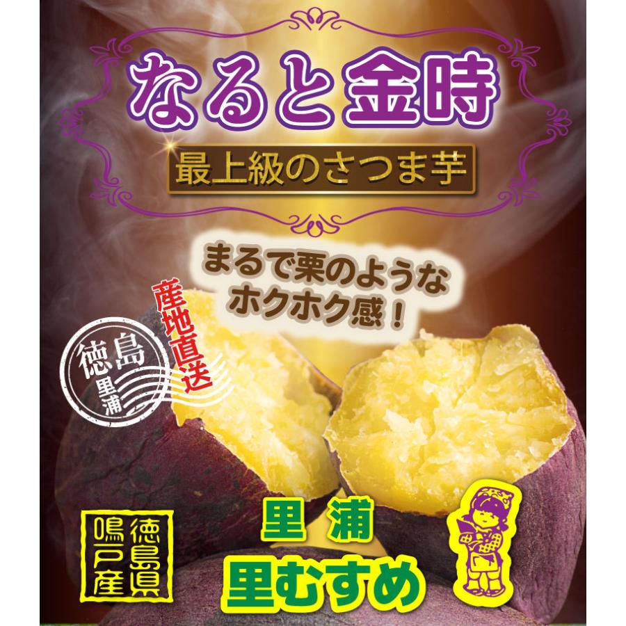 ギフト なると金時 里むすめ 秀品 選べるサイズM・L 150g〜350g 鳴戸市里浦 産地直送 5kg×1箱 鳴門金時 送料無料 J常｜kuishinboucom｜02