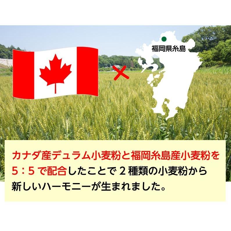 ポイント10倍 生パスタ 博多 糸島 小麦粉使用 丸麺 1.8mm 送料無料 4袋 400g 約4人前 麺のみ グルメ メール便|kuishinboucom|06