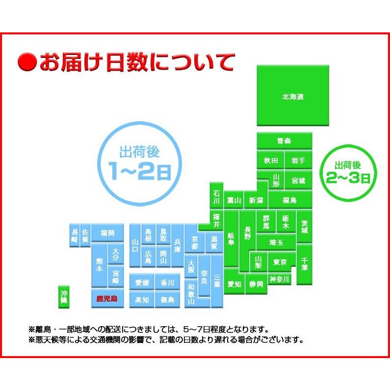 予約商品 安納芋 さつまいも  鹿児島 種子島産 産地直送 野菜 プチ 安納芋2kg 送料無料 ちびころ蜜芋2kg グルメ S常｜kuishinboucom｜07