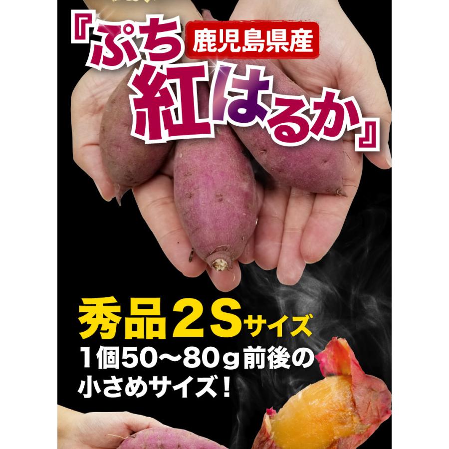 鹿児島県産 ぷち紅はるか 8kg サツマイモ 生芋 小さいサイズ 鹿児島県産 ぷち紅はるか 8kg サツマイモ 生芋 小さいサイズ