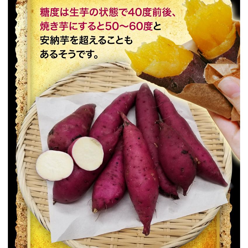 鹿児島県産 ぷち紅はるか 8kg サツマイモ 生芋 小さいサイズ 鹿児島県産 ぷち紅はるか 8kg サツマイモ 生芋 小さいサイズ