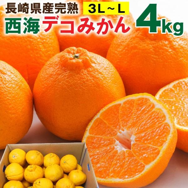 西海デコみかん 長崎 しらぬい デコポン 家庭用 ４kg 大玉 3L〜L 送料無料 産直 甘い S常｜kuishinboucom