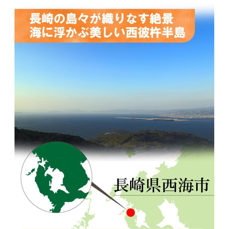 西海デコみかん 長崎 しらぬい デコポン 家庭用 ４kg 大玉 3L〜L 送料無料 産直 甘い S常｜kuishinboucom｜06