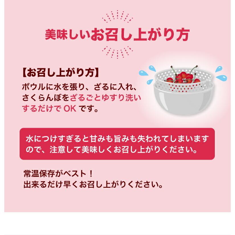 山形県産 佐藤錦 秀品 2Lサイズ500g さくらんぼ 贈答用 手詰め化粧箱入り 朝摘み お取り寄せ 産地直送 送料無料 冷蔵便 Y蔵｜kuishinboucom｜20