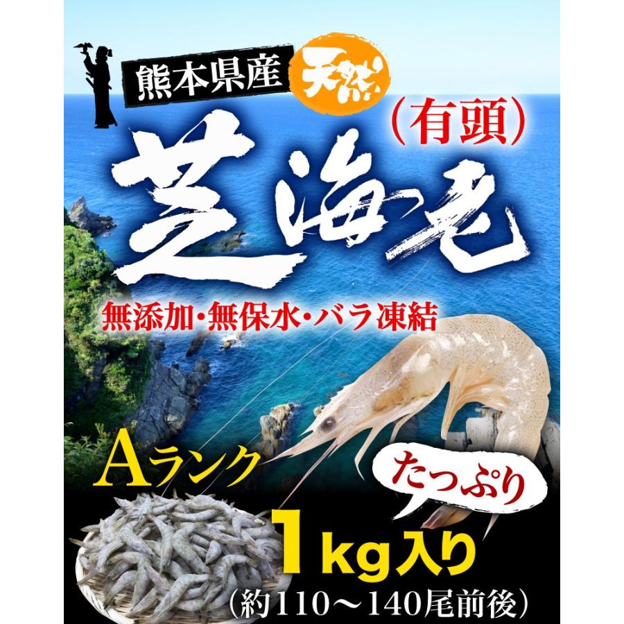 海老 冷凍 熊本県産 天然芝海老 1パック1kg(約110〜140尾前後) 有頭 バラ凍結 無添加 無保水 国産 バーベキュー 送料無料 クール｜kuishinboucom｜13