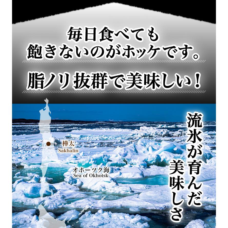 極上 縞ほっけ 超特大サイズ 約500〜550g前後×1尾 無頭 約30cm前後 北海道小樽加工 シマホッケ 干物 一夜干 産地直送 送料無料 冷凍 クール Y凍｜kuishinboucom｜19