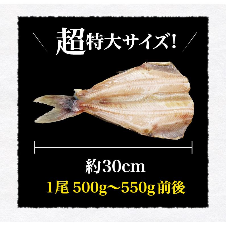 極上 縞ほっけ 超特大サイズ 約500〜550g前後×1尾 無頭 約30cm前後 北海道小樽加工 シマホッケ 干物 一夜干 産地直送 送料無料 冷凍 クール Y凍｜kuishinboucom｜09