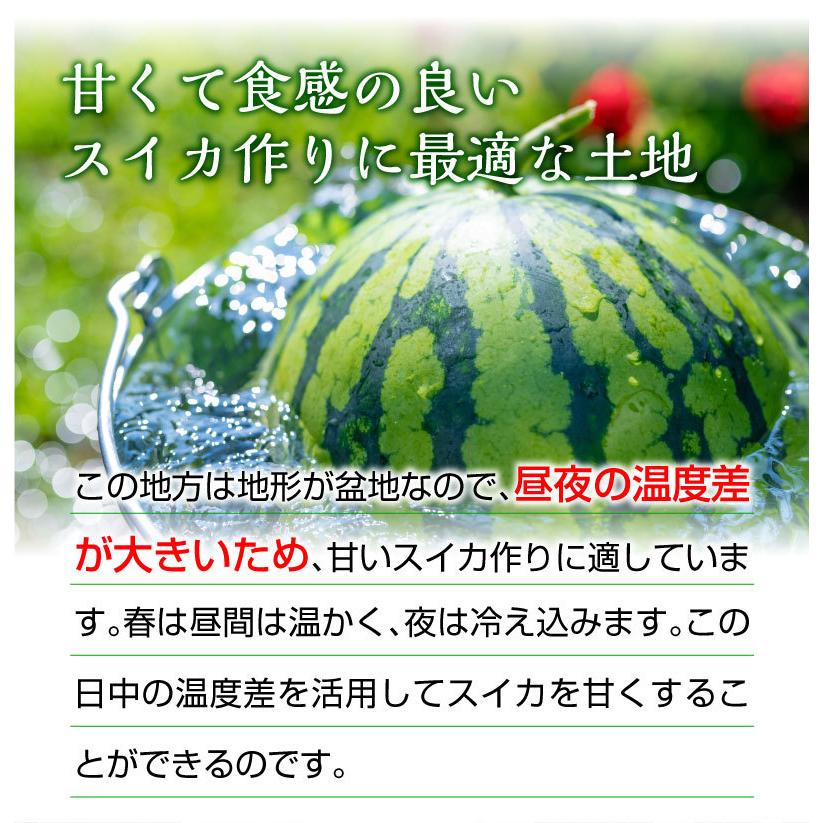 父の日 ギフト プレゼント スイカ ひとりじめ 秀品 １玉 熊本県産 植木スイカ 送料無料 小玉 すいか フルーツ 果物 甘い 産地直送 S常 人気ショップ
