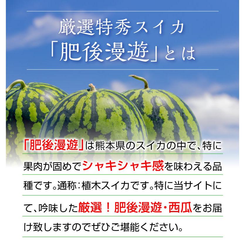 ポイント5倍 父の日 ギフト スイカ 肥後漫遊 秀品 L/１玉 熊本県産