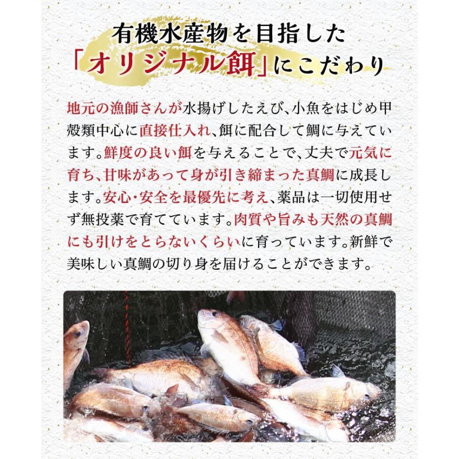 鯛 刺身 フィレ マダイ 真鯛 １尾 フィレ 皮無し 2枚 2 500g 送料無料 海鮮 魚介 冷凍 真空パック Y凍 T Fillet02 くいしんぼうドットコム 通販 Yahoo ショッピング