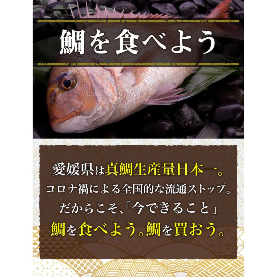 鯛 刺身 フィレ マダイ 真鯛 １尾 フィレ 皮無し 2枚 2 500g 送料無料 海鮮 魚介 冷凍 真空パック Y凍 T Fillet02 くいしんぼうドットコム 通販 Yahoo ショッピング