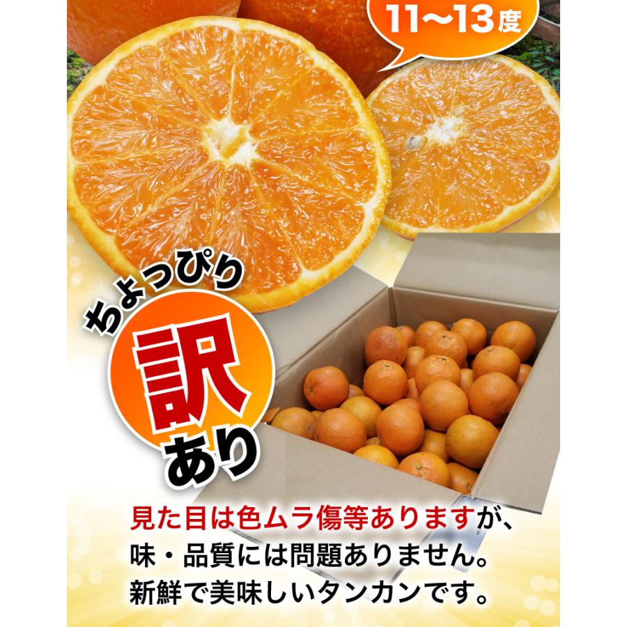予約商品 たんかん 柑橘 訳あり屋久島たんかん 10kg M〜2L(約30 予約商品 たんかん 柑橘 訳あり屋久島たんかん 10kg M〜2L(約30