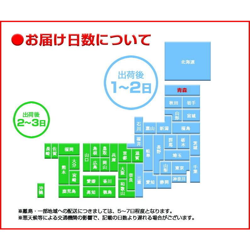 順次発送 ギフト りんご サンふじりんご  青森県津軽産 完熟プレミアム ５kg  贈答用 光センサー完全選果 送料無料  リンゴ 林檎 果物 グルメ Y常