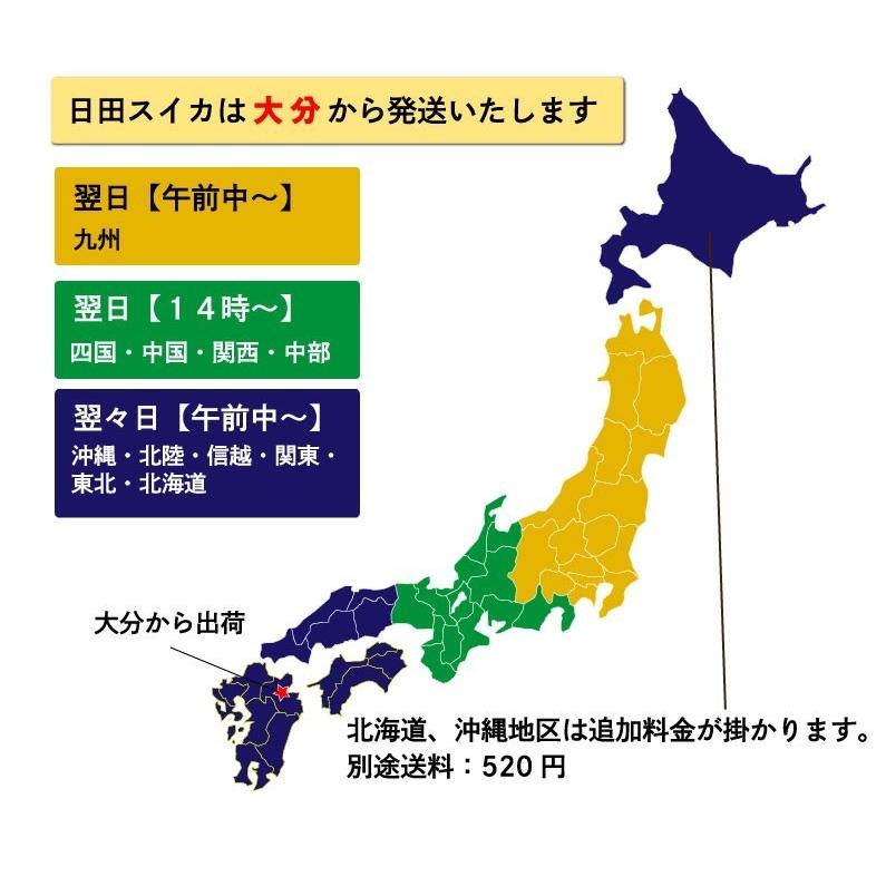 早期予約 お中元 ギフト フルーツ 果物 スイカ 特大 ２玉 14kg 日田産 すいか 秀品 2L/3Lサイズ 贈答 Y常｜kuishinboucom｜12