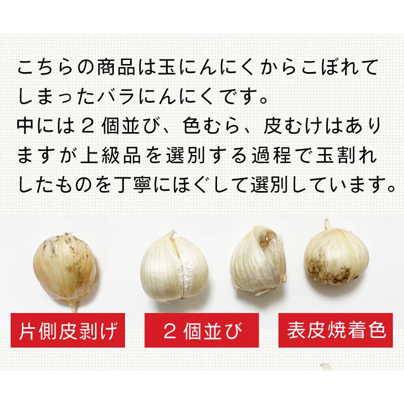 順次発送 青森 にんにく バラ 訳あり 新物 国産 ニンニク 福地 