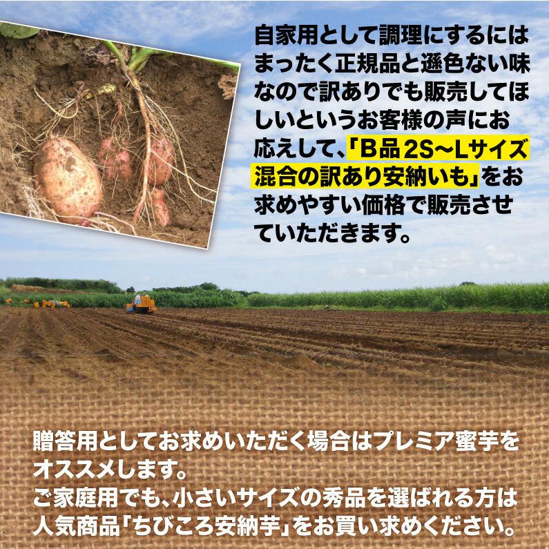 安納芋 訳あり 種子島産 安納いも 蜜芋 S〜Lサイズ混合 4kg 送料 安納芋 訳あり 種子島産 安納いも 蜜芋 S〜Lサイズ混合 4kg 送料